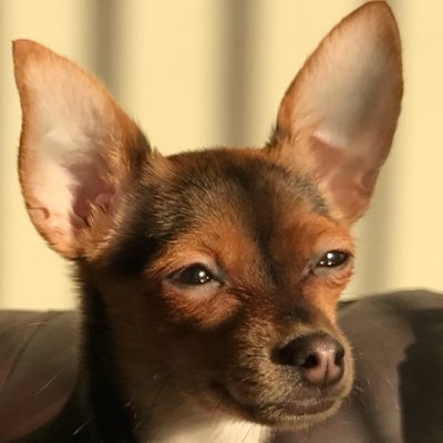 CityStinger's profile picture. Currently in RCIA
