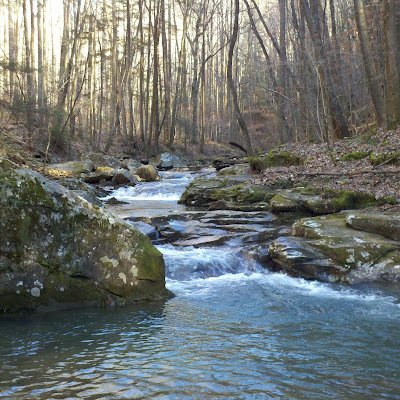 DebtDuration's profile picture. 