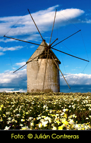campodcartagena's profile picture. Toda la información relacionada con la Comarca del Campo de Cartagena. Turismo, patrimonio, historia, gastronomía, tradiciones y mucho más.
