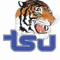 Big Blue Tiger Nation (@615tsu_tigers) 's Twitter Profile