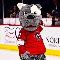 Biscuit the Bulldog (@bestechlmascot) 's Twitter Profile Photo Biscuit the Bulldog (@bestechlmascot) 's Twitter Profile Photo