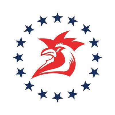 Sydney Roosters 🐓