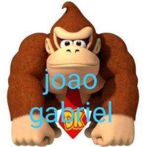 joao gabrielさんのプロフィール画像