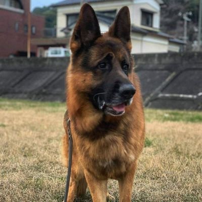 OliverJame48200's profile picture. A very lovely and true person