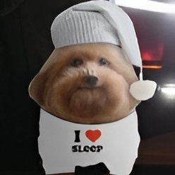 RR11819973's profile picture. 23