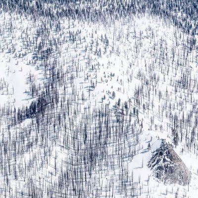 Kobayashi_47's profile picture. 