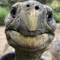 @irabor (@jerttz) 's Twitter Profile