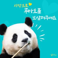ํธ๋์ด๐ฉท (@ekdls942) 's Twitter Profile