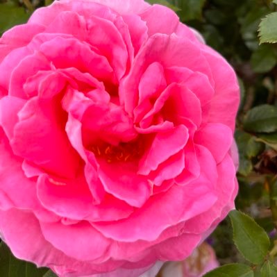 sgEkJKpcppMSUYN's profile picture. 🏀 好きなチームと選手、スポーツを応援する垢 /#川崎ブレイブサンダース/#琉球ゴールデンキングス