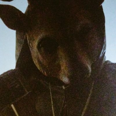 Autism incarnate. 27 years old. I got lots of fandoms but I'm hella autistic for Death Stranding, Alan Wake, Sonic & Good Omens. Goth gals DM me your oddities.