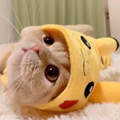 qDXMM7KWg693824's profile picture. 