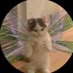 l (@kambal___) Twitter profile photo l (@kambal___) Twitter profile photo
