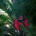 THA BIGGEST (@thatwavy) Twitter profile photo THA BIGGEST (@thatwavy) Twitter profile photo