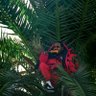 ThatWavy's profile picture. nigga old
