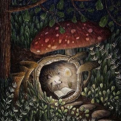 thehaz_m's profile picture. Amante de la fantasía y el humor negro.