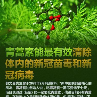 We are the citizens of the New Federal State of China