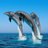 MohamadNajeeba's profile image