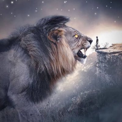 ramansrai's profile picture. ~