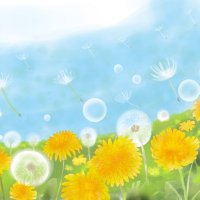 NANASE*＊* (@dandelion02_31) Twitter profile photo