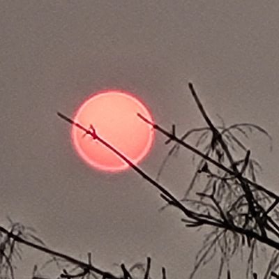 stalemate4200's profile picture. 