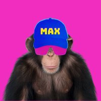 $MAXBET(@MAXBETCOIN) 's Twitter Profile Photo