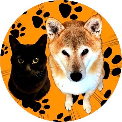 Shieva & Kieuさんのプロフィール画像