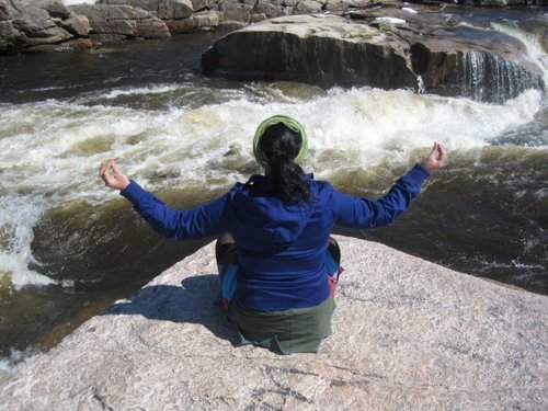 LiquidtreeZen's profile picture. 