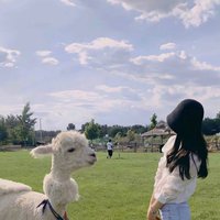 Hannah (@nouddoy4v9a) 's Twitter Profile