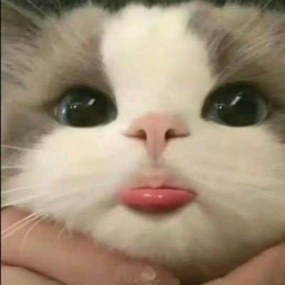 LawanReyes's profile picture. A nadie le interesa…