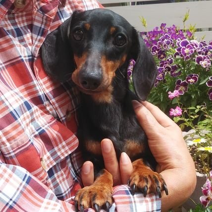 heyhappyhana's profile picture. 大分いい年した大人です
閲覧専用になりました