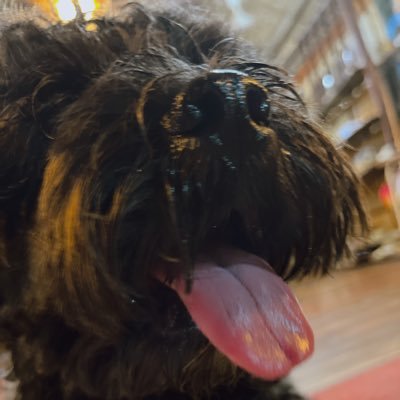 gyozakusoumaina's profile picture. 三重大学某学部2年 04
