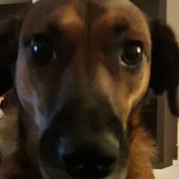 PB (@pat_bul) 's Twitter Profile