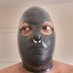 LatexIntrovert (@latexb619) Twitter profile photo LatexIntrovert (@latexb619) Twitter profile photo