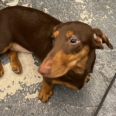 ffrend28's profile picture. 