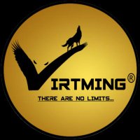 GUS/VIRTMING 🌎2️⃣ (@virtming) 's Twitter Profile