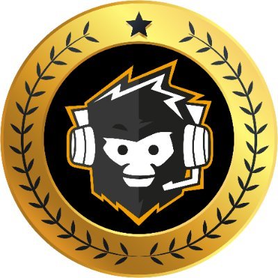 AFK Gaming Profile