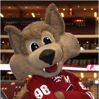 Mascot Fan Network (@mascotfannet) 's Twitter Profile Photo Mascot Fan Network (@mascotfannet) 's Twitter Profile Photo