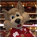 Mascot Fan Network (@mascotfannet) Twitter profile photo Mascot Fan Network (@mascotfannet) Twitter profile photo