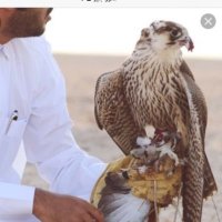 بدر (@jjss73883) 's Twitter Profile