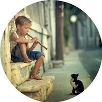 سليمان الجماعي (@algonai2015) 's Twitter Profile