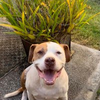 Makana05 (@makana051) 's Twitter Profile