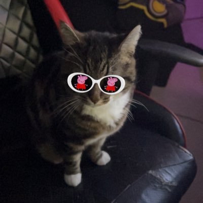 SerinLoic's profile picture. HEAL for Team Prestige 🇫🇷