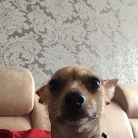 Андрей (@simpjqw) 's Twitter Profile
