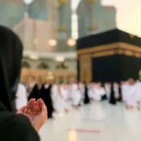 Laila (@l54441128) 's Twitter Profile
