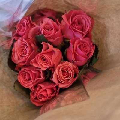 Thisisyaknow's profile picture. If you found this profile 🤫