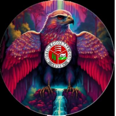 Hutton Hawks U13 Girls Profile
