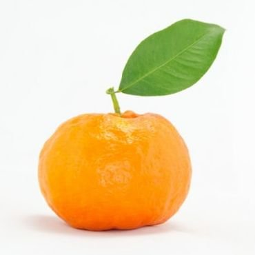 ggujunhing's profile picture. 인생 꾸준히 꾸미기