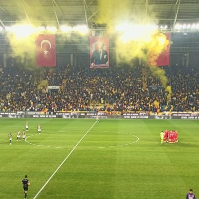 BayramT18493941's profile picture.