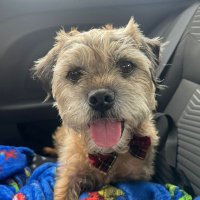 Paddy D the BT CBE 🏅 (@bt_paddy) 's Twitter Profile