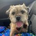 Paddy D the BT CBE 🏅 (@bt_paddy) Twitter profile photo Paddy D the BT CBE 🏅 (@bt_paddy) Twitter profile photo